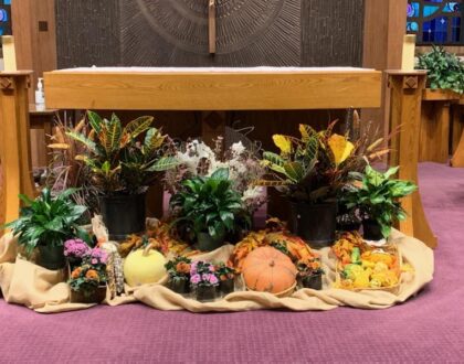 Homily, June 14, 2026