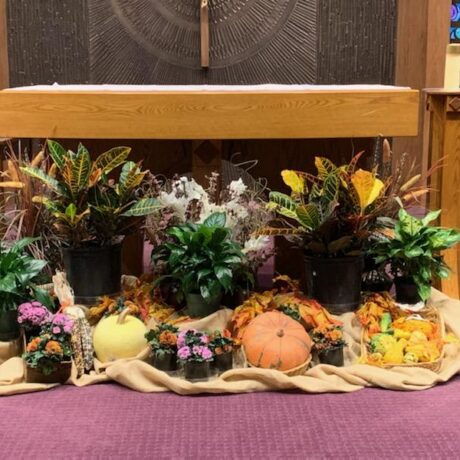 Homily, June 14, 2026