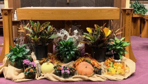 Homily, June 14, 2026