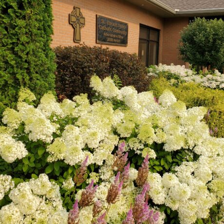 Homily , June 21, 2026