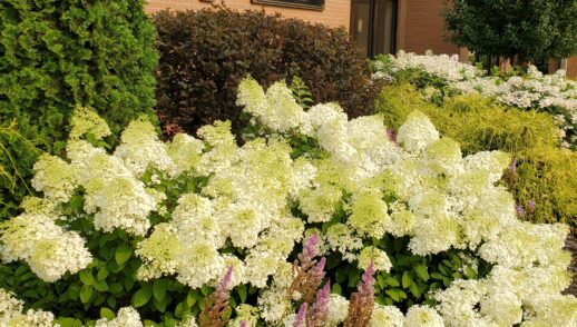 Homily , June 21, 2026