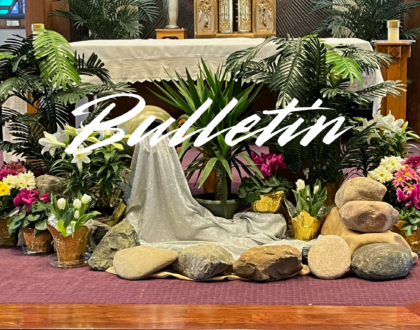 Bulletin , April 26, 2026