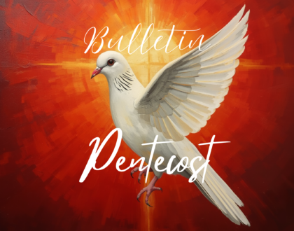 Bulletin , May 24, 2026