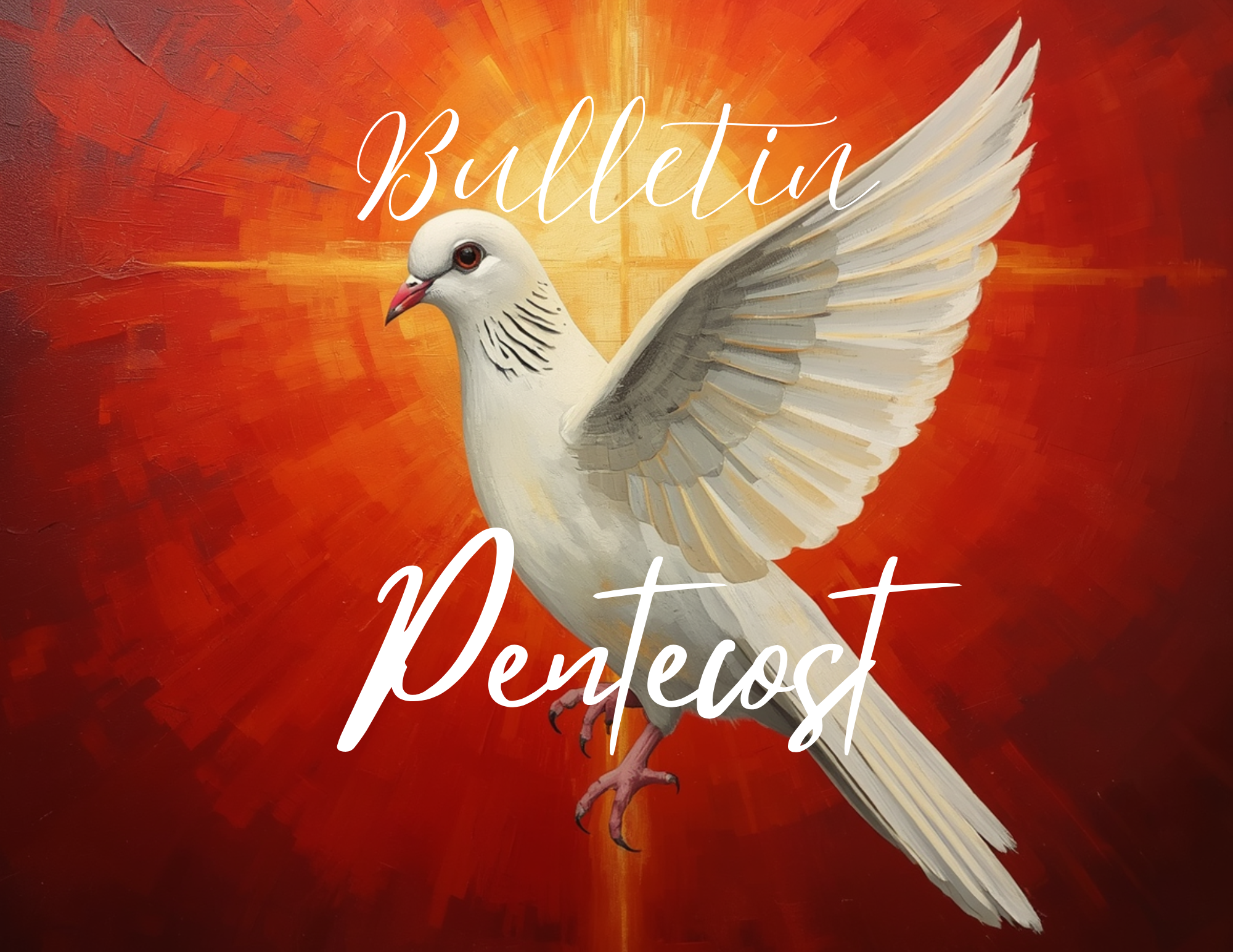 Bulletin , May 24, 2026